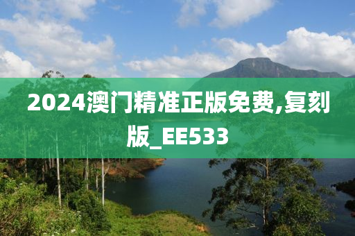 2024澳门精准正版免费,复刻版_EE533