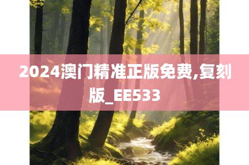 2024澳门精准正版免费,复刻版_EE533