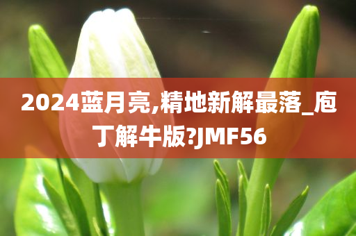 2024蓝月亮,精地新解最落_庖丁解牛版?JMF56