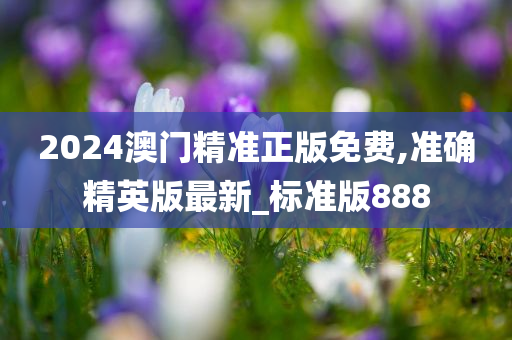 2024澳门精准正版免费,准确精英版最新_标准版888