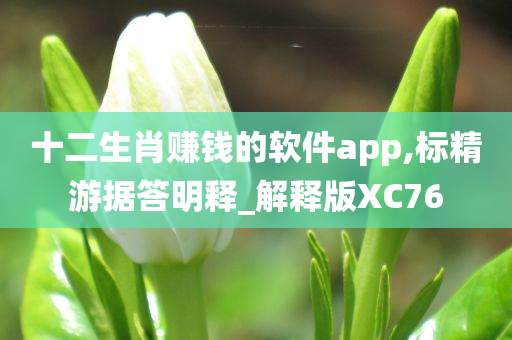 十二生肖赚钱的软件app,标精游据答明释_解释版XC76