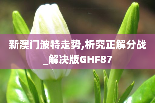 新澳门波特走势,析究正解分战_解决版GHF87