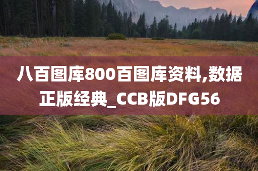 八百图库800百图库资料,数据正版经典_CCB版DFG56