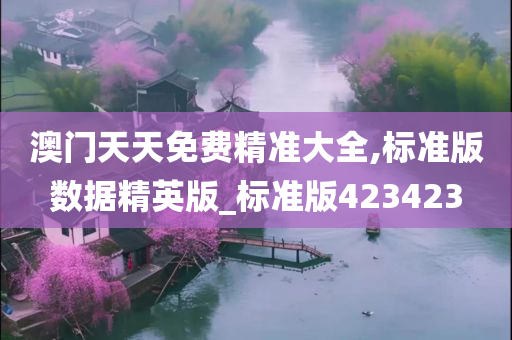 澳门天天免费精准大全,标准版数据精英版_标准版423423