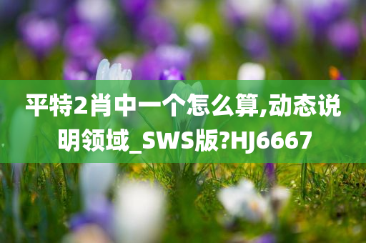 平特2肖中一个怎么算,动态说明领域_SWS版?HJ6667