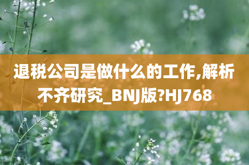 退税公司是做什么的工作,解析不齐研究_BNJ版?HJ768