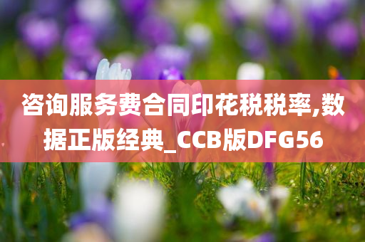 咨询服务费合同印花税税率,数据正版经典_CCB版DFG56