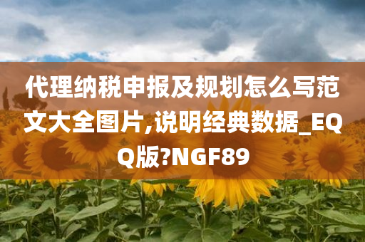 代理纳税申报及规划怎么写范文大全图片,说明经典数据_EQQ版?NGF89