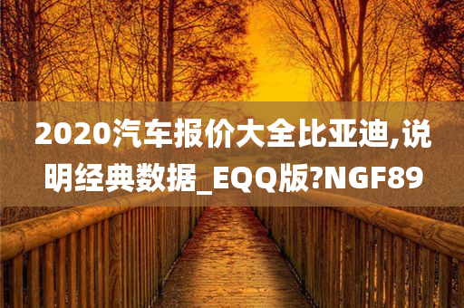 2020汽车报价大全比亚迪,说明经典数据_EQQ版?NGF89