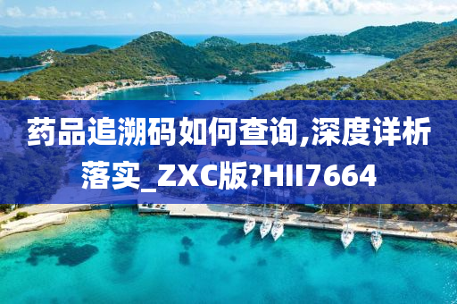 药品追溯码如何查询,深度详析落实_ZXC版?HII7664