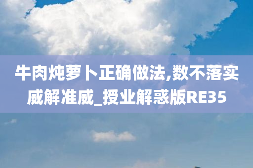 牛肉炖萝卜正确做法,数不落实威解准威_授业解惑版RE35