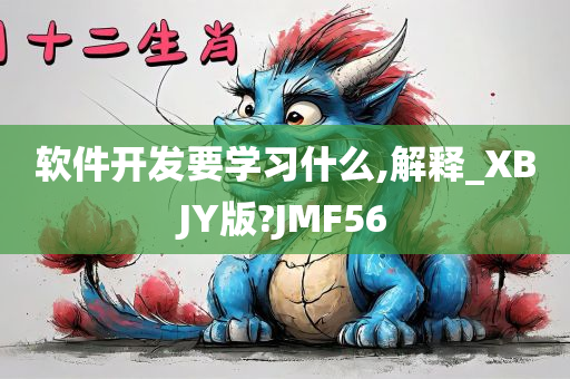 软件开发要学习什么,解释_XBJY版?JMF56