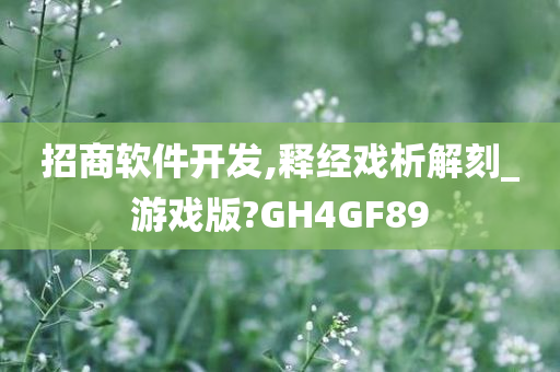 招商软件开发,释经戏析解刻_游戏版?GH4GF89