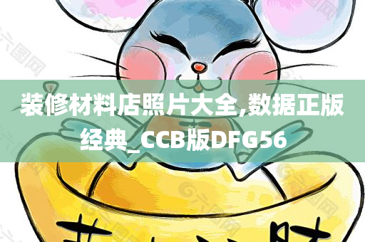 装修材料店照片大全,数据正版经典_CCB版DFG56