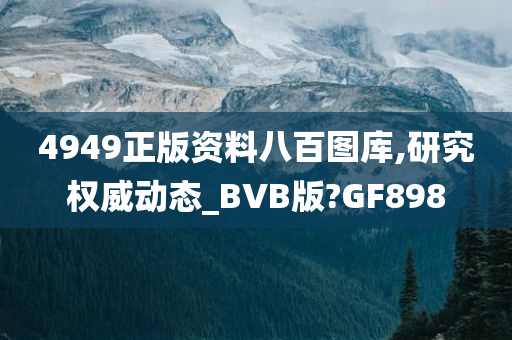 4949正版资料八百图库,研究权威动态_BVB版?GF898