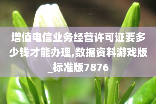 增值电信业务经营许可证要多少钱才能办理,数据资料游戏版_标准版7876