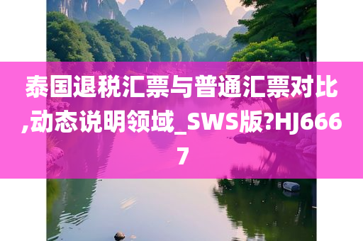 泰国退税汇票与普通汇票对比,动态说明领域_SWS版?HJ6667