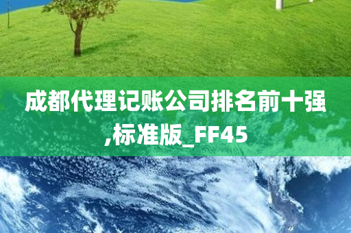 成都代理记账公司排名前十强,标准版_FF45