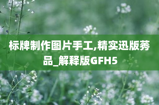 标牌制作图片手工,精实迅版莠品_解释版GFH5