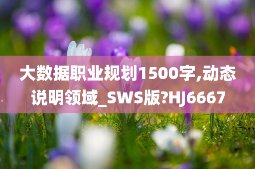 大数据职业规划1500字,动态说明领域_SWS版?HJ6667