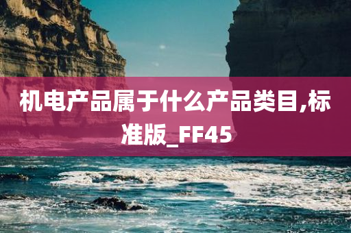 机电产品属于什么产品类目,标准版_FF45