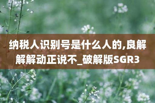 纳税人识别号是什么人的,良解解解动正说不_破解版SGR3