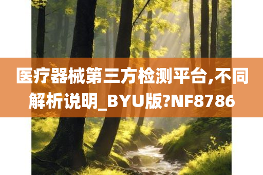 医疗器械第三方检测平台,不同解析说明_BYU版?NF8786