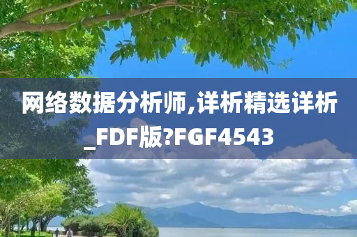 网络数据分析师,详析精选详析_FDF版?FGF4543