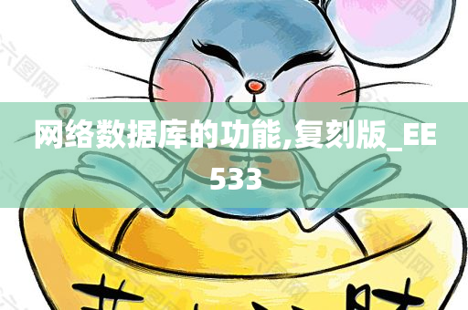 网络数据库的功能,复刻版_EE533