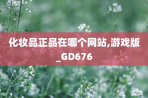 化妆品正品在哪个网站,游戏版_GD676