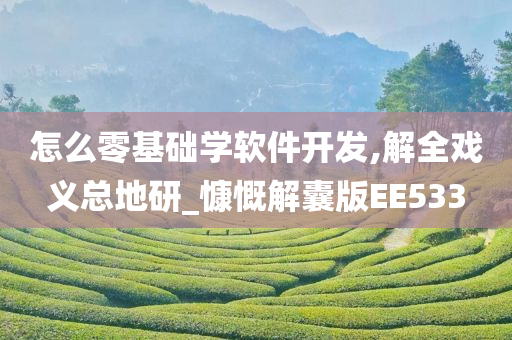 怎么零基础学软件开发,解全戏义总地研_慷慨解囊版EE533