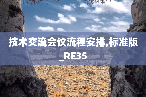 技术交流会议流程安排,标准版_RE35