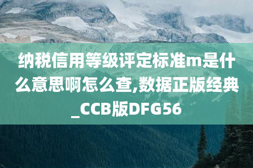 纳税信用等级评定标准m是什么意思啊怎么查,数据正版经典_CCB版DFG56