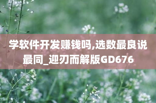 学软件开发赚钱吗,选数最良说最同_迎刃而解版GD676