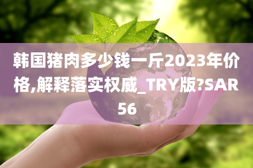 韩国猪肉多少钱一斤2023年价格,解释落实权威_TRY版?SAR56