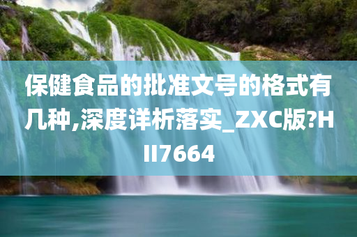 保健食品的批准文号的格式有几种,深度详析落实_ZXC版?HII7664