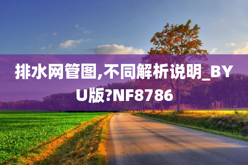 排水网管图,不同解析说明_BYU版?NF8786