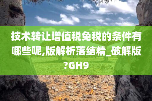 技术转让增值税免税的条件有哪些呢,版解析落结精_破解版?GH9