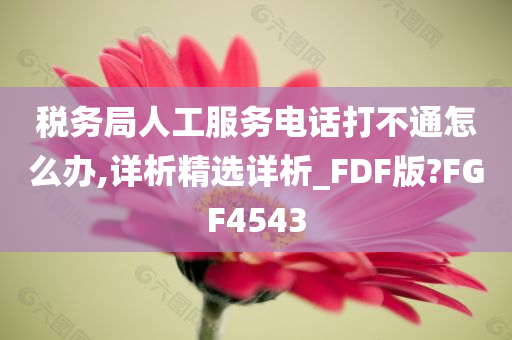 税务局人工服务电话打不通怎么办,详析精选详析_FDF版?FGF4543