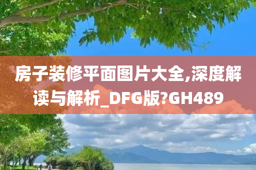 房子装修平面图片大全,深度解读与解析_DFG版?GH489