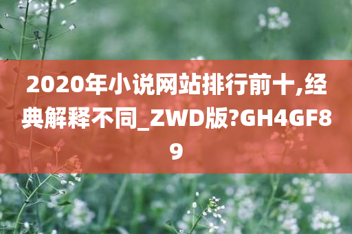 2020年小说网站排行前十,经典解释不同_ZWD版?GH4GF89