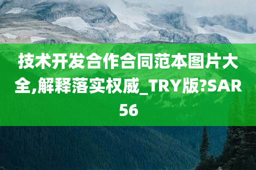 技术开发合作合同范本图片大全,解释落实权威_TRY版?SAR56