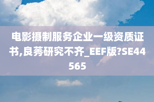 电影摄制服务企业一级资质证书,良莠研究不齐_EEF版?SE44565