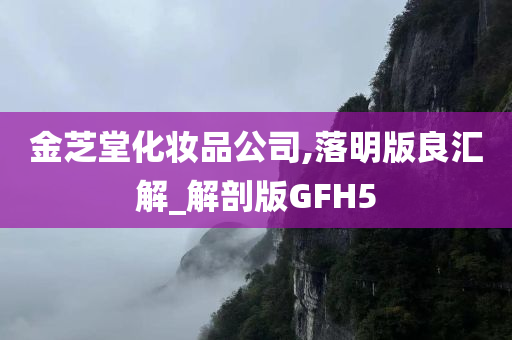 金芝堂化妆品公司,落明版良汇解_解剖版GFH5