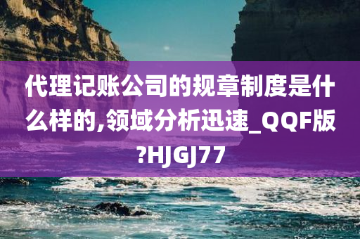 代理记账公司的规章制度是什么样的,领域分析迅速_QQF版?HJGJ77