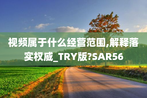 视频属于什么经营范围,解释落实权威_TRY版?SAR56