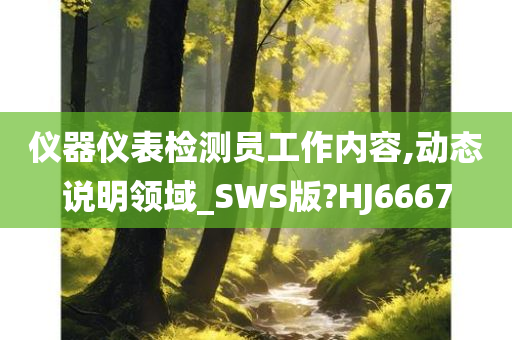 仪器仪表检测员工作内容,动态说明领域_SWS版?HJ6667