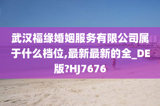 武汉福缘婚姻服务有限公司属于什么档位,最新最新的全_DE版?HJ7676