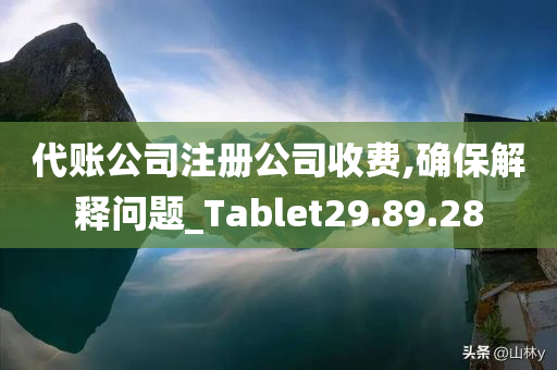 代账公司注册公司收费,确保解释问题_Tablet29.89.28