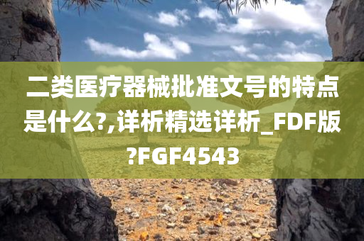 二类医疗器械批准文号的特点是什么?,详析精选详析_FDF版?FGF4543